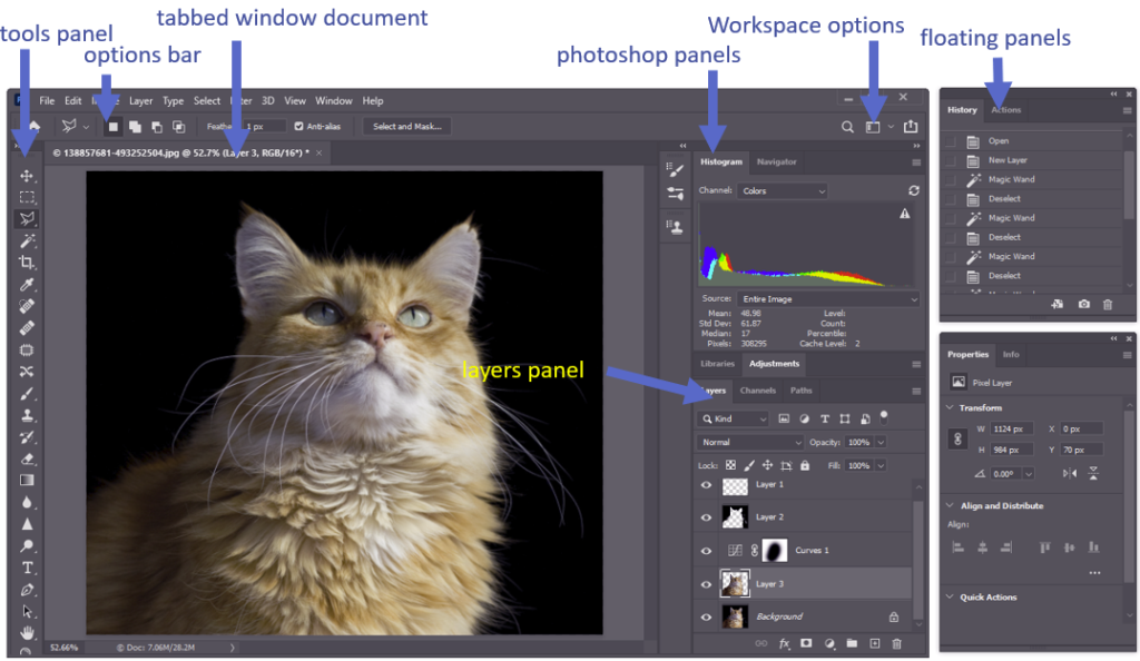 photoshop workspace download